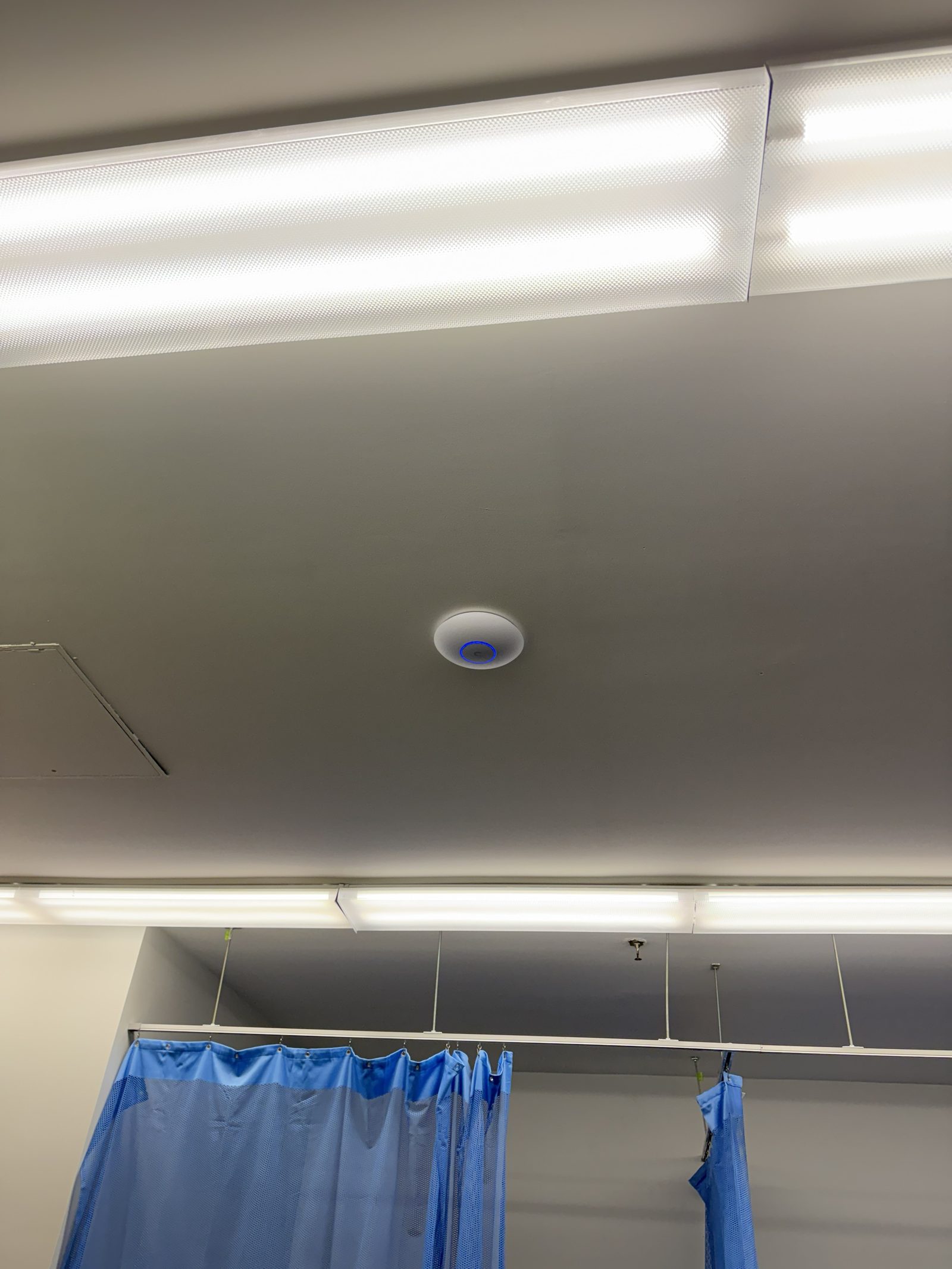 Access point on a wired backhaul above the treatment area.